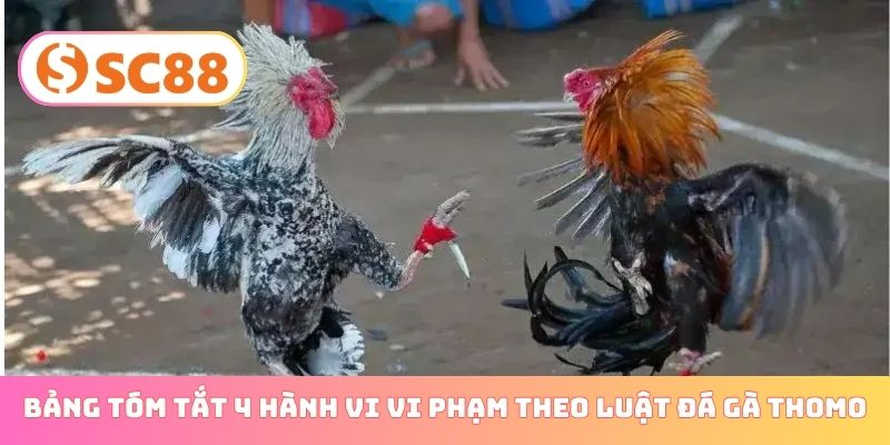 Bảng tóm tắt 4 hành vi vi phạm theo luật đá gà Thomo