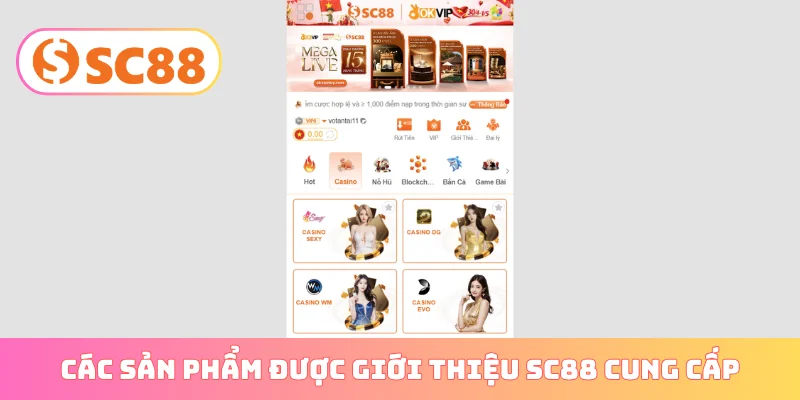 Các sản phẩm được giới thiệu SC88 cung cấp