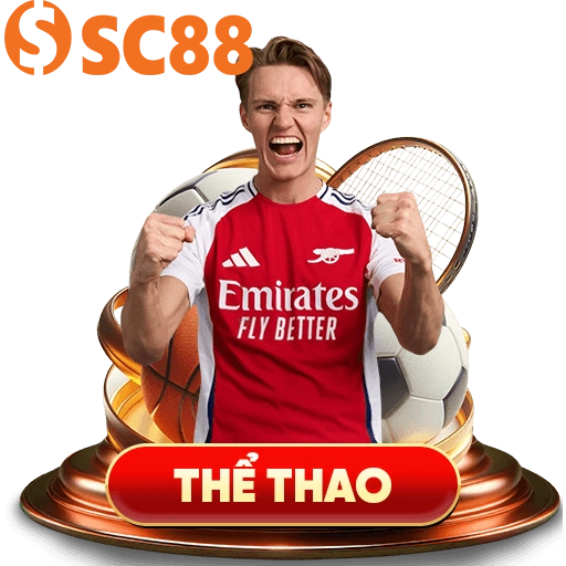 icon-the-thao
