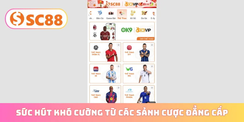 Sức hút khó cưỡng từ các sảnh cược đẳng cấp