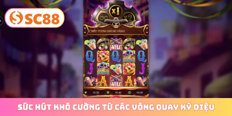Sức hút khó cưỡng từ các vòng quay kỳ diệu