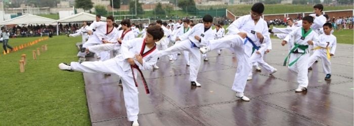 Beneficios del cinturón negro en taekwondo: potencia, disciplina y superación