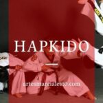 Comienza a practicar Hapkido de forma efectiva: consejos y pasos clave