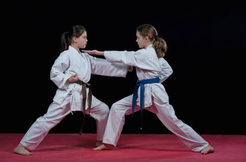 Domina el Karate con las técnicas básicas: golpes, bloqueos y katas