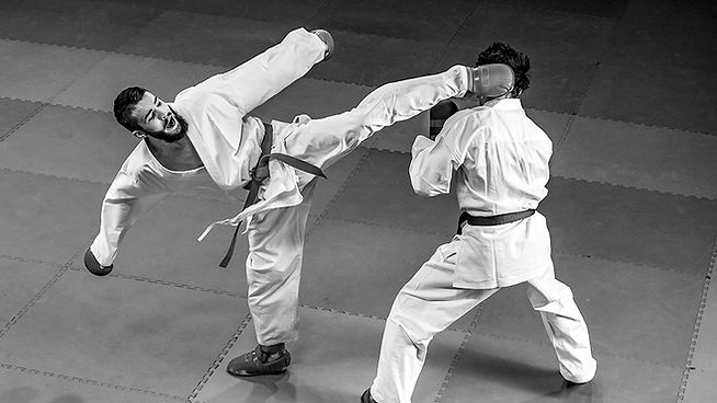 Entrenamiento completo para competir en kumite: Karatekas, prepárate